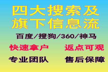 SEM广告投放的精准定位与优化案例